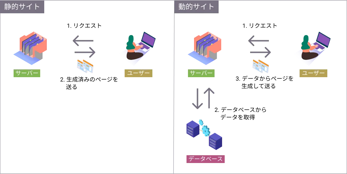 static-dynamic